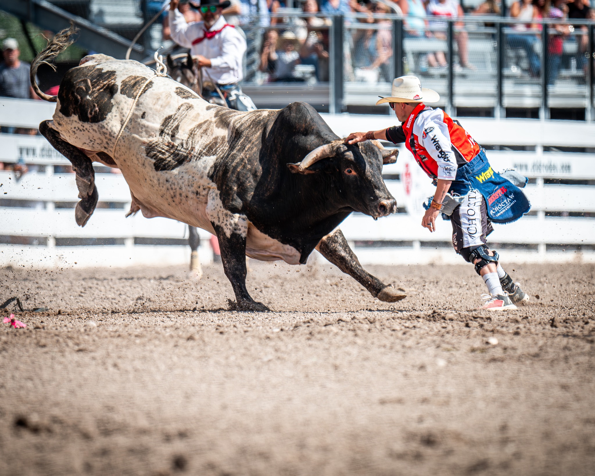 Cheyenne - Congratulations to Cody Webster on winning the PRCA ProRodeo ...