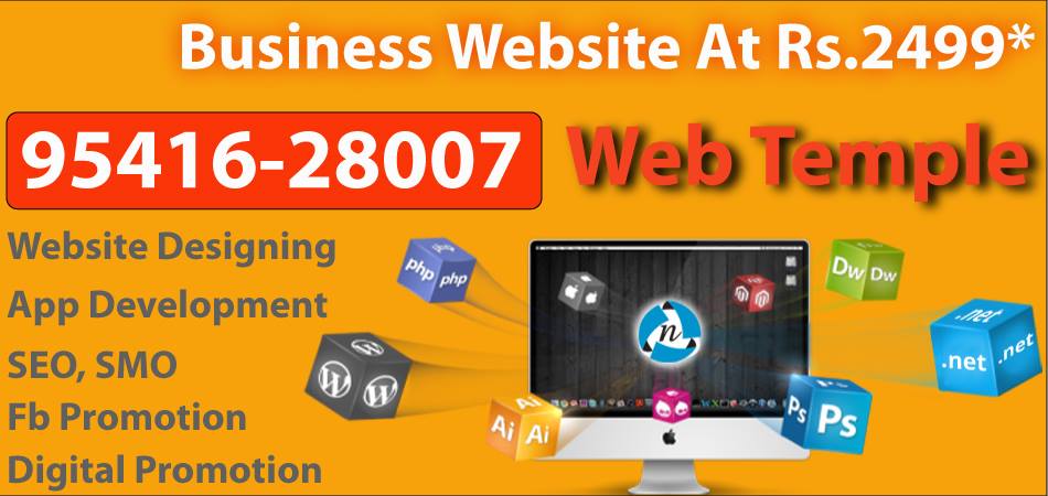 Website Developer