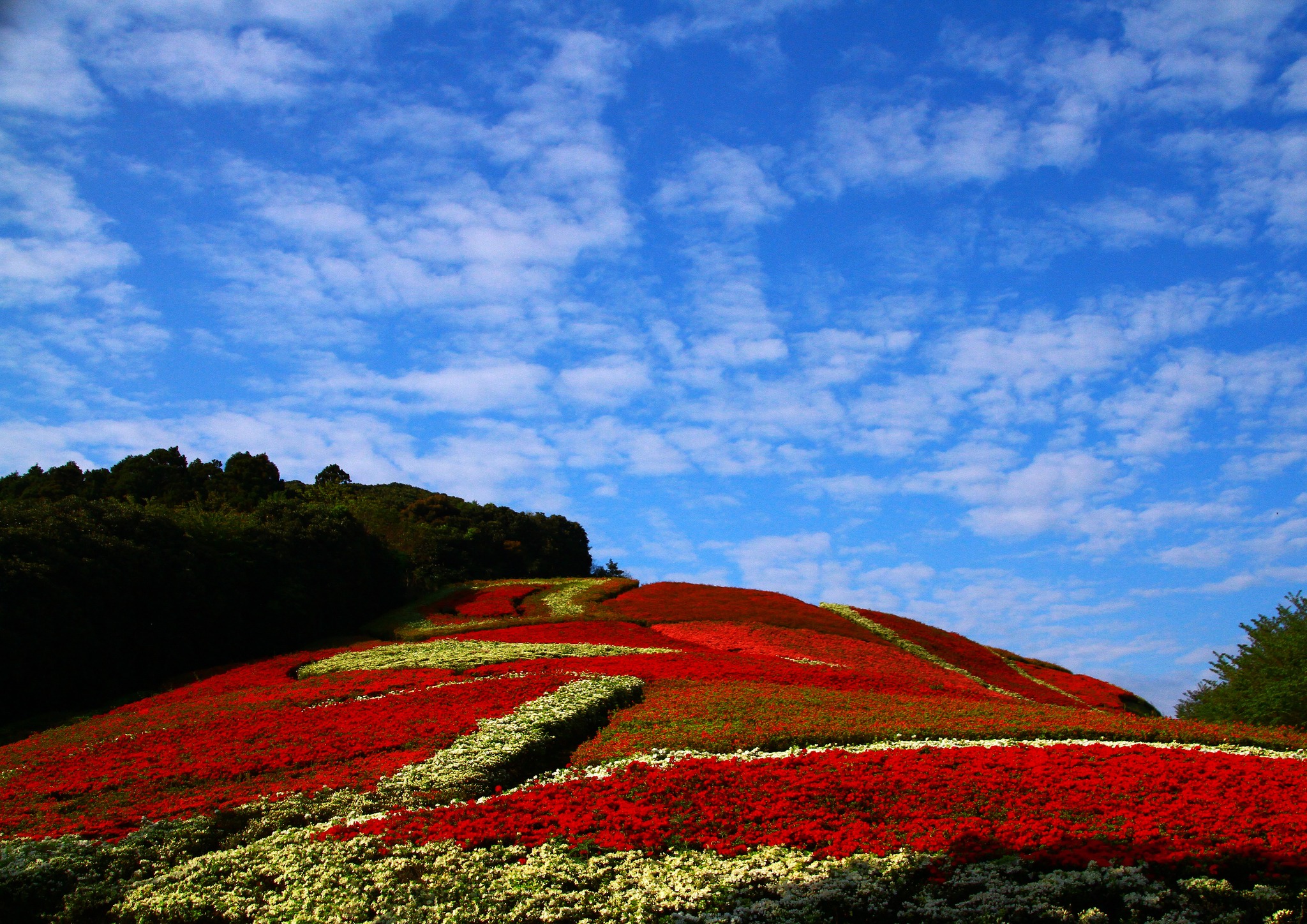 不老 山 総合 公園