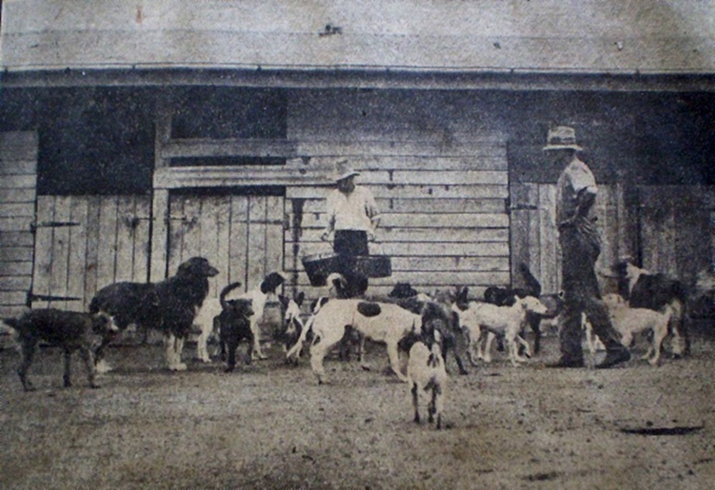 RSPCA - 100 years of progress, one mission: protecting animals 🐾 ️ ...