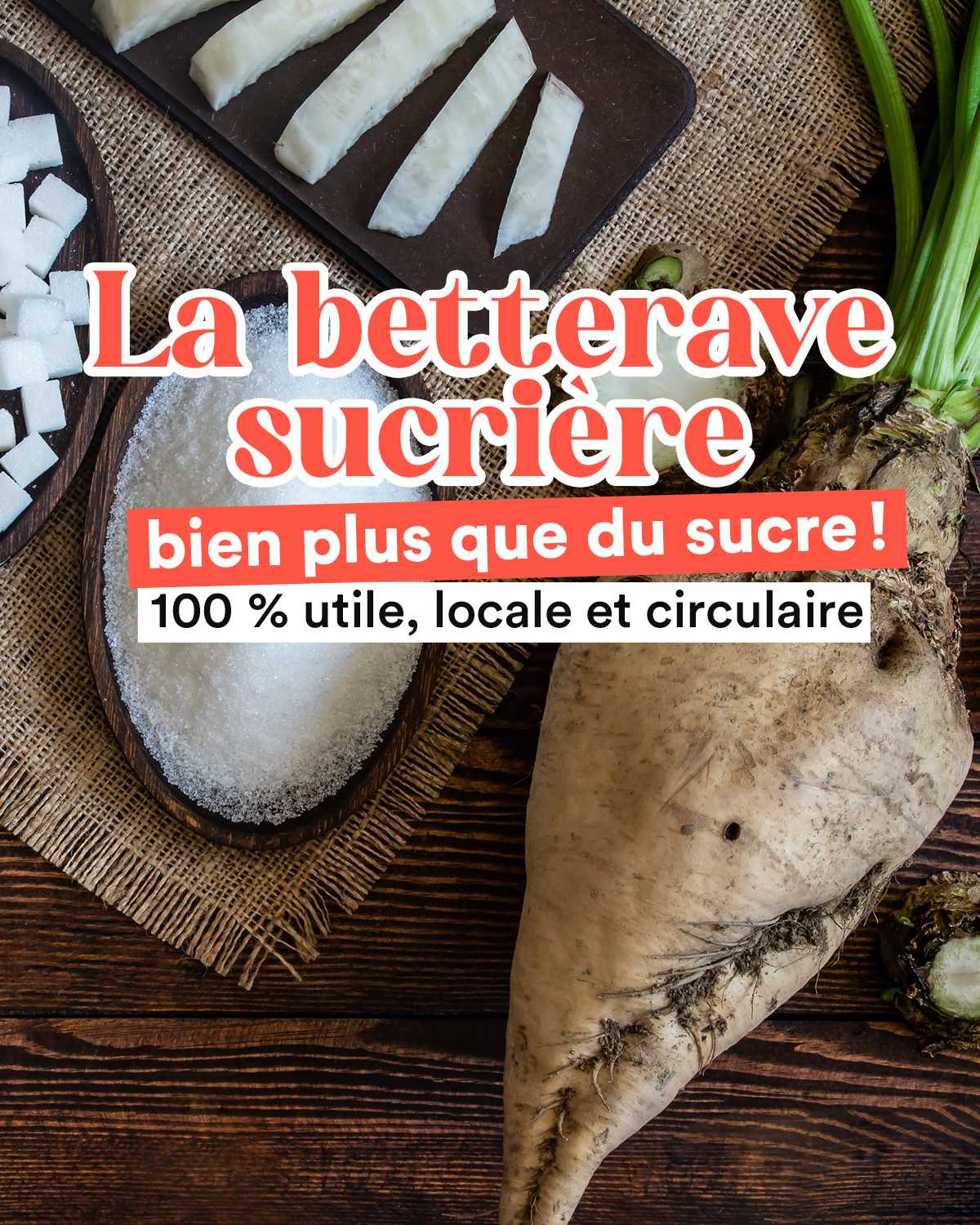 Cultures Sucre - ♻️ Saviez-vous que 100 % de la betterave... | Facebook