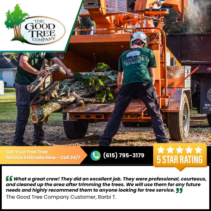 The Good Tree Company is proud to... - The Good Tree Company | Facebook