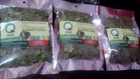 Herba Daun Rerama Organik... - Herba Daun Rerama Organik