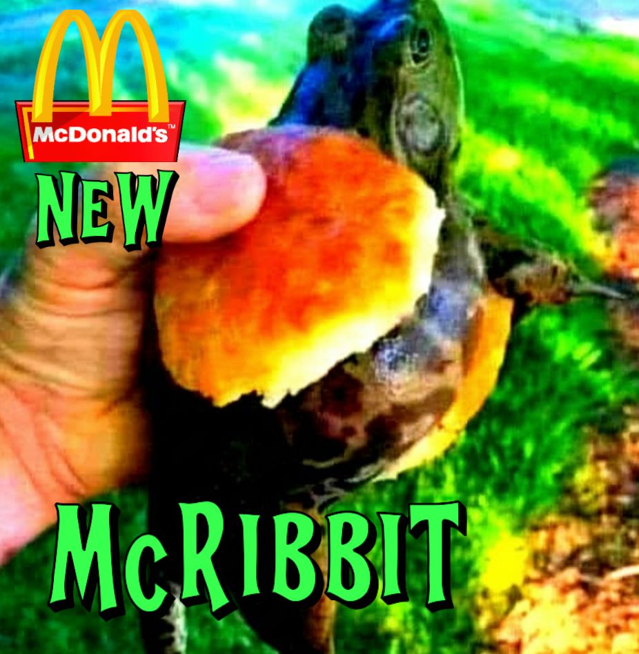 Brain - HURRY IN! LTD EDITION McDonald's McRib it Sandwich with Cheese ...