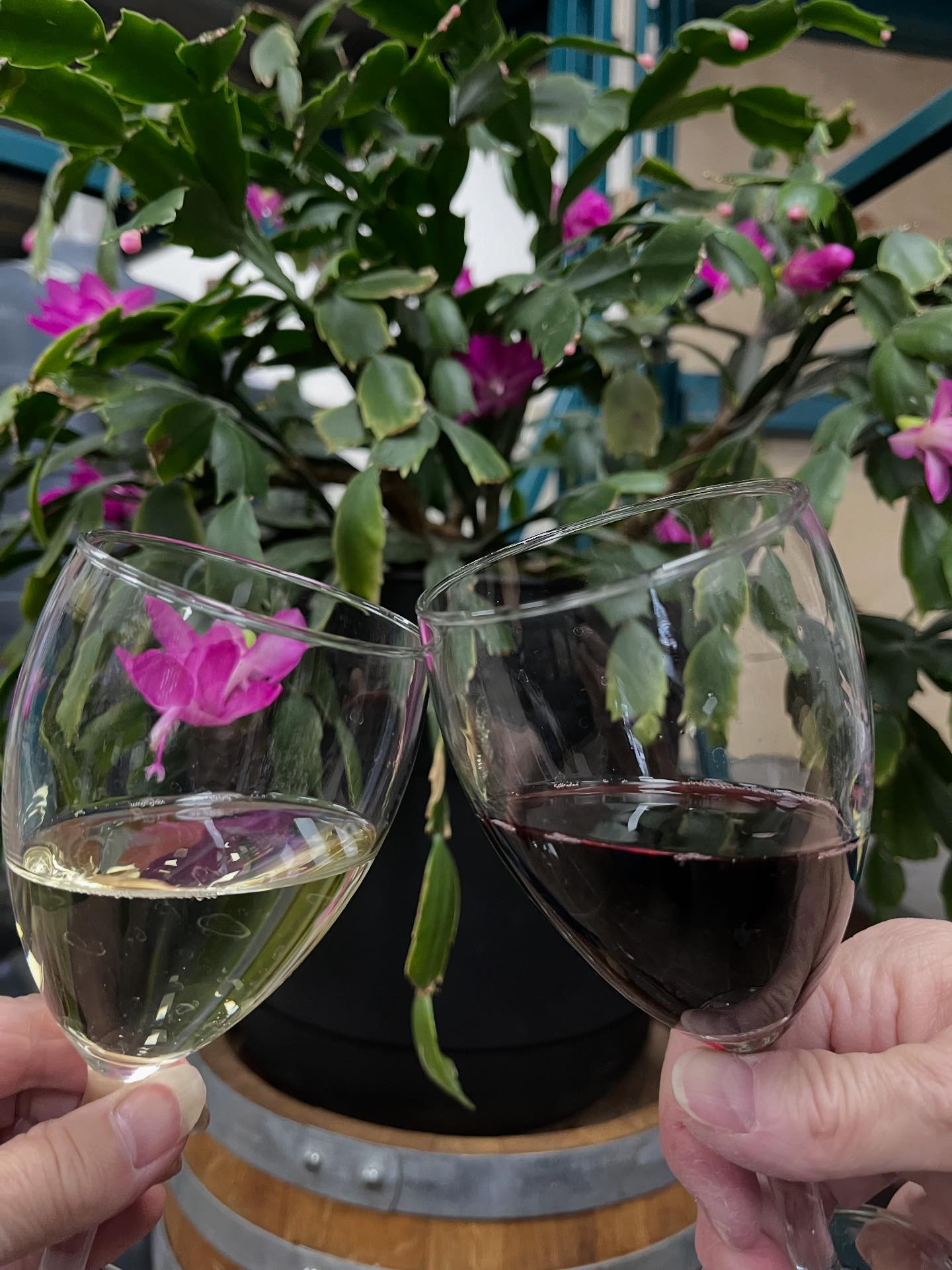 The Wine Room | Perth ON