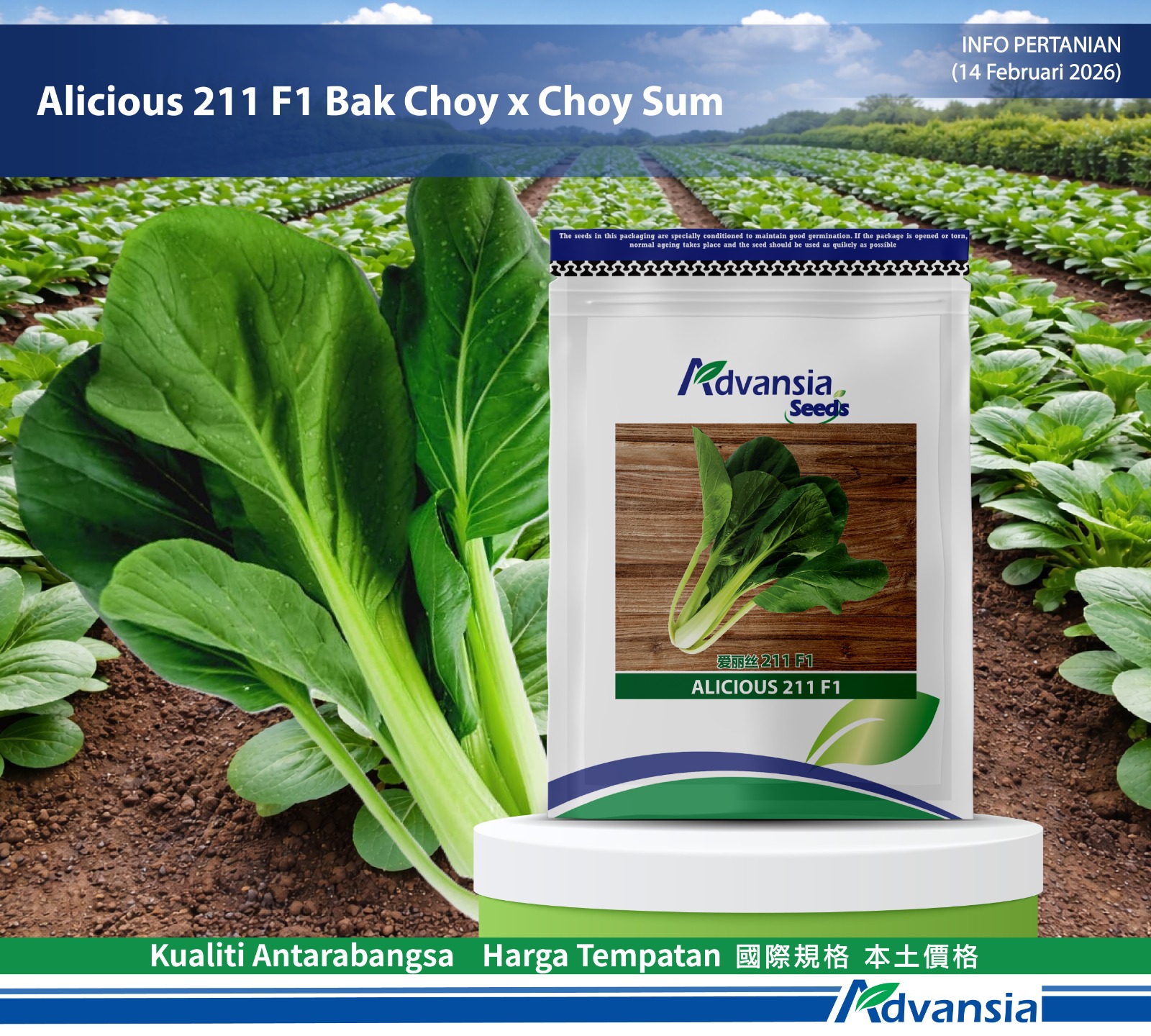 Advansia - 𝗜𝗻𝗳𝗼 𝗣𝗲𝗿𝘁𝗮𝗻𝗶𝗮𝗻 𝗠𝗶𝗻𝗴𝗴𝘂𝗮𝗻 (𝟭𝟰𝟬𝟮𝟮𝟬𝟮𝟲) 🥬Alicious... | Facebook
