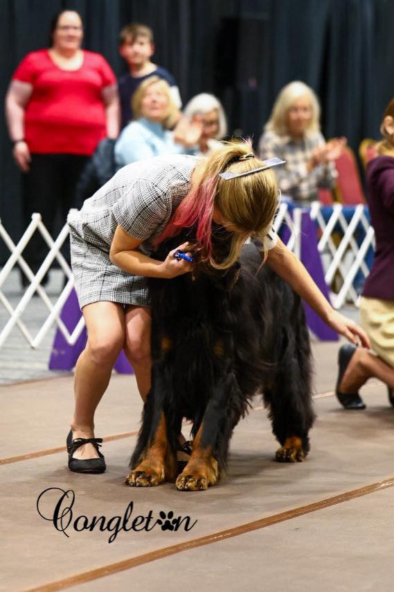 Congleton - Congrats Spring Krickeberg on her Best Junior Handler win ...