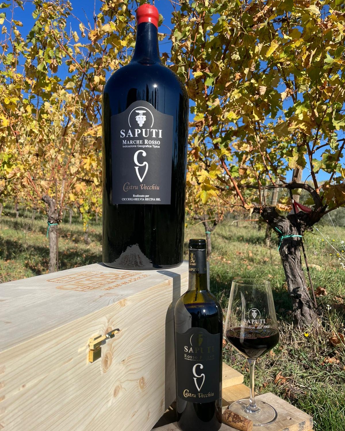 Cantina Saputi | Colmurano