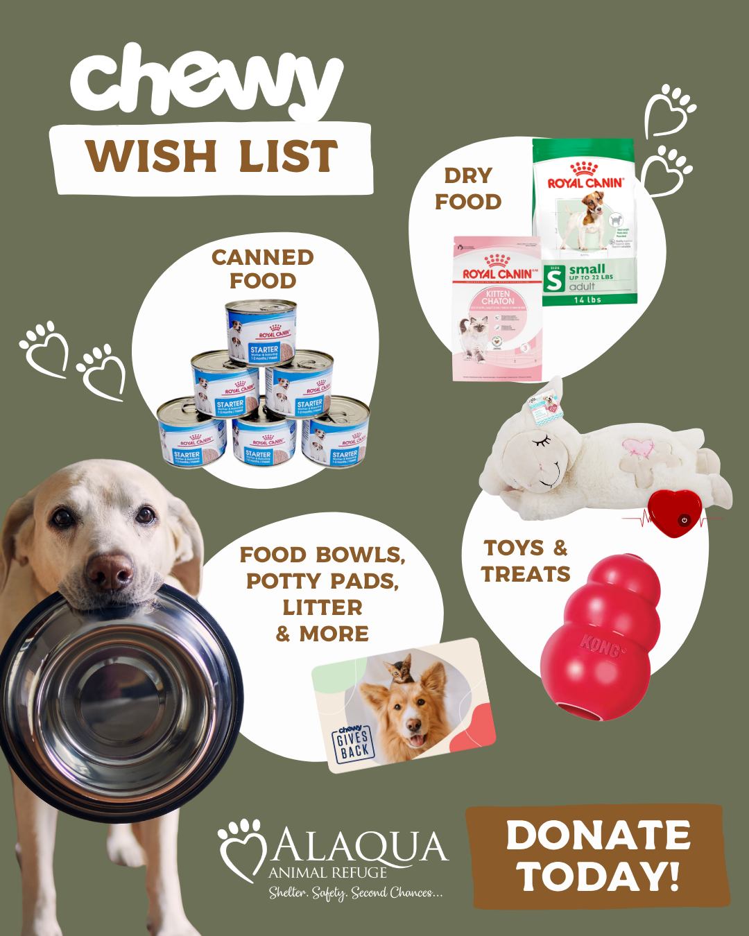 Help us fill bellies and brighten days! 🐶🐱 Each item from our