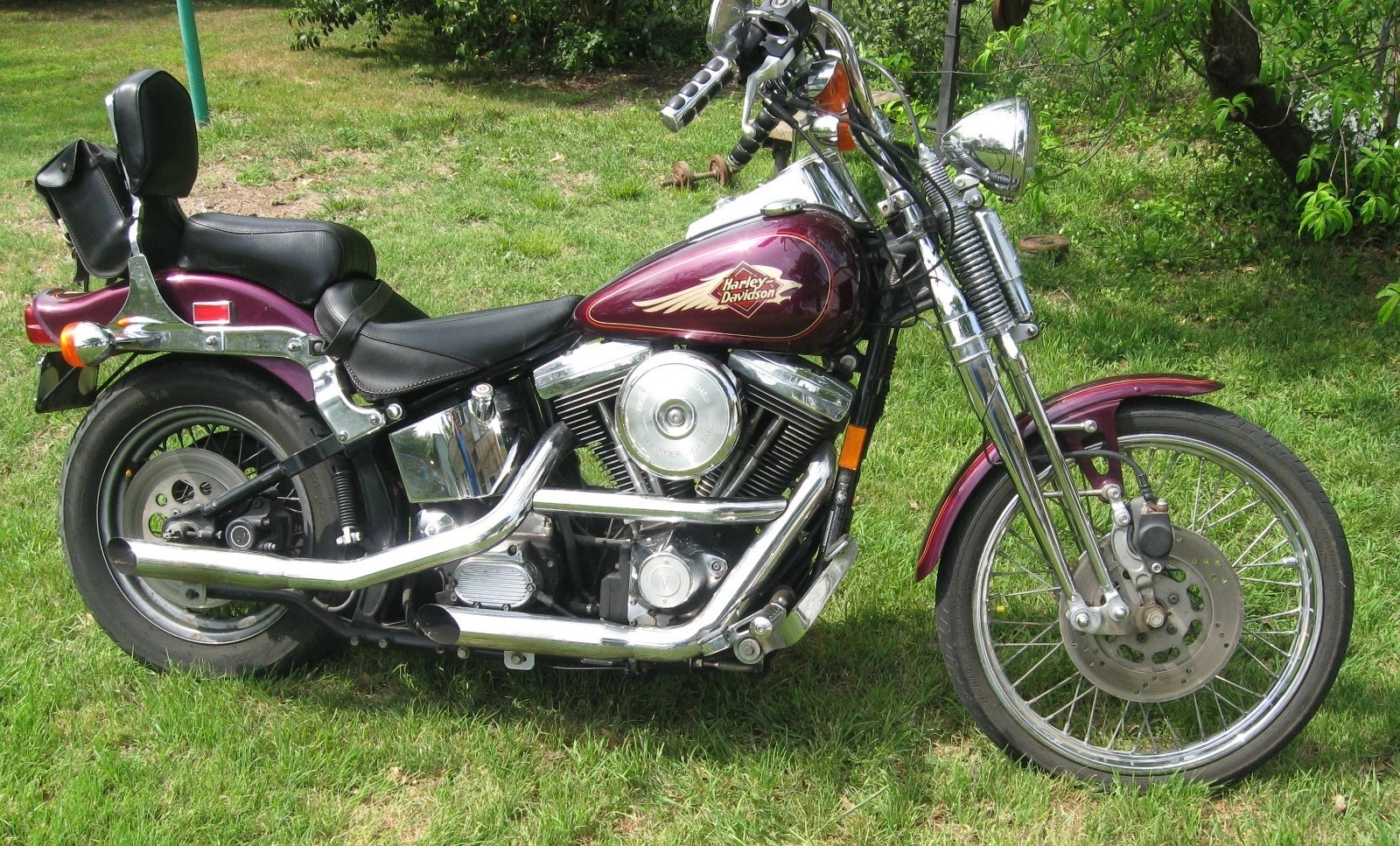 Fat tire Springers are getting pretty popular and pricey on the 