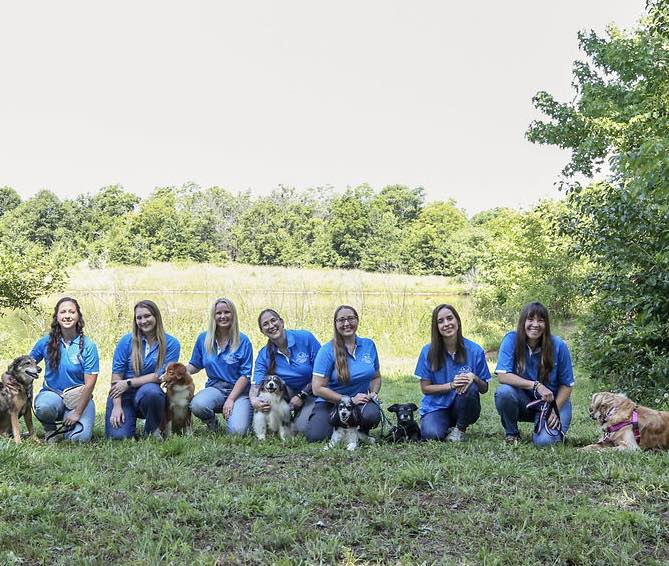 Horizon Dog Behavior