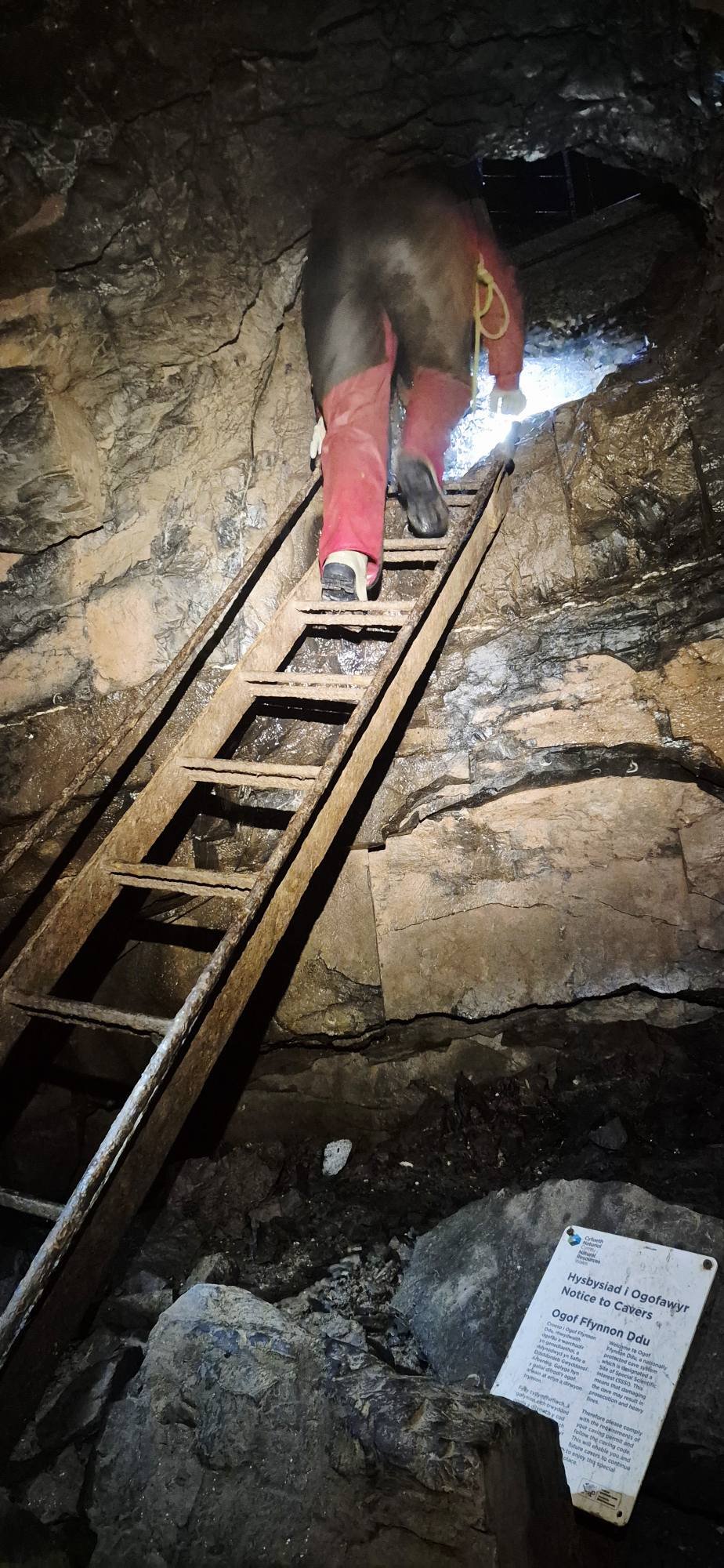 Devon Spelæological Society | Buckfastleigh