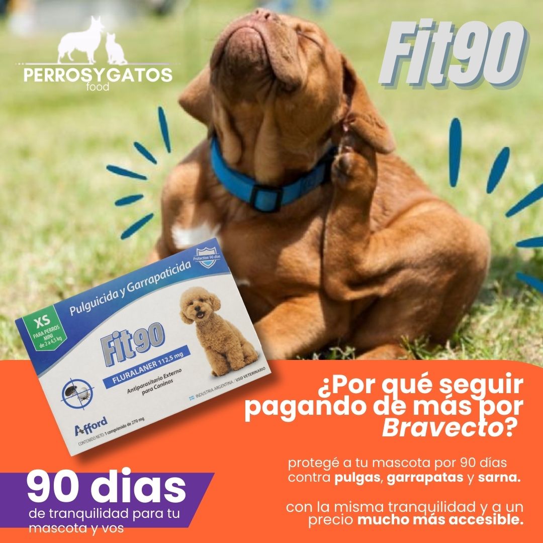 🦠 El Campylobacter es una de las... - Perros y Gatos Food | Facebook