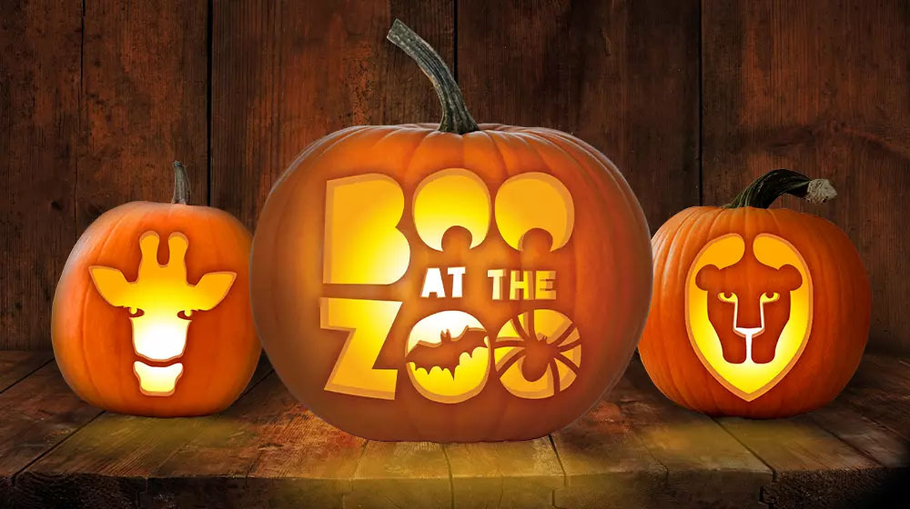 A1 - #HalloweenEvents Boo at the Zoo returns with costume contests ...