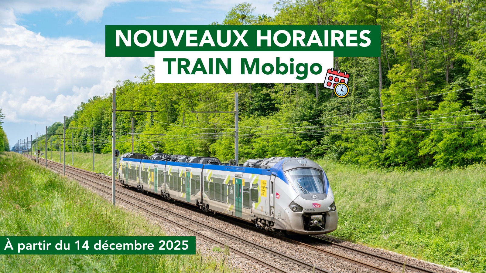 Ligne SNCF Epinal-Belfort - association
