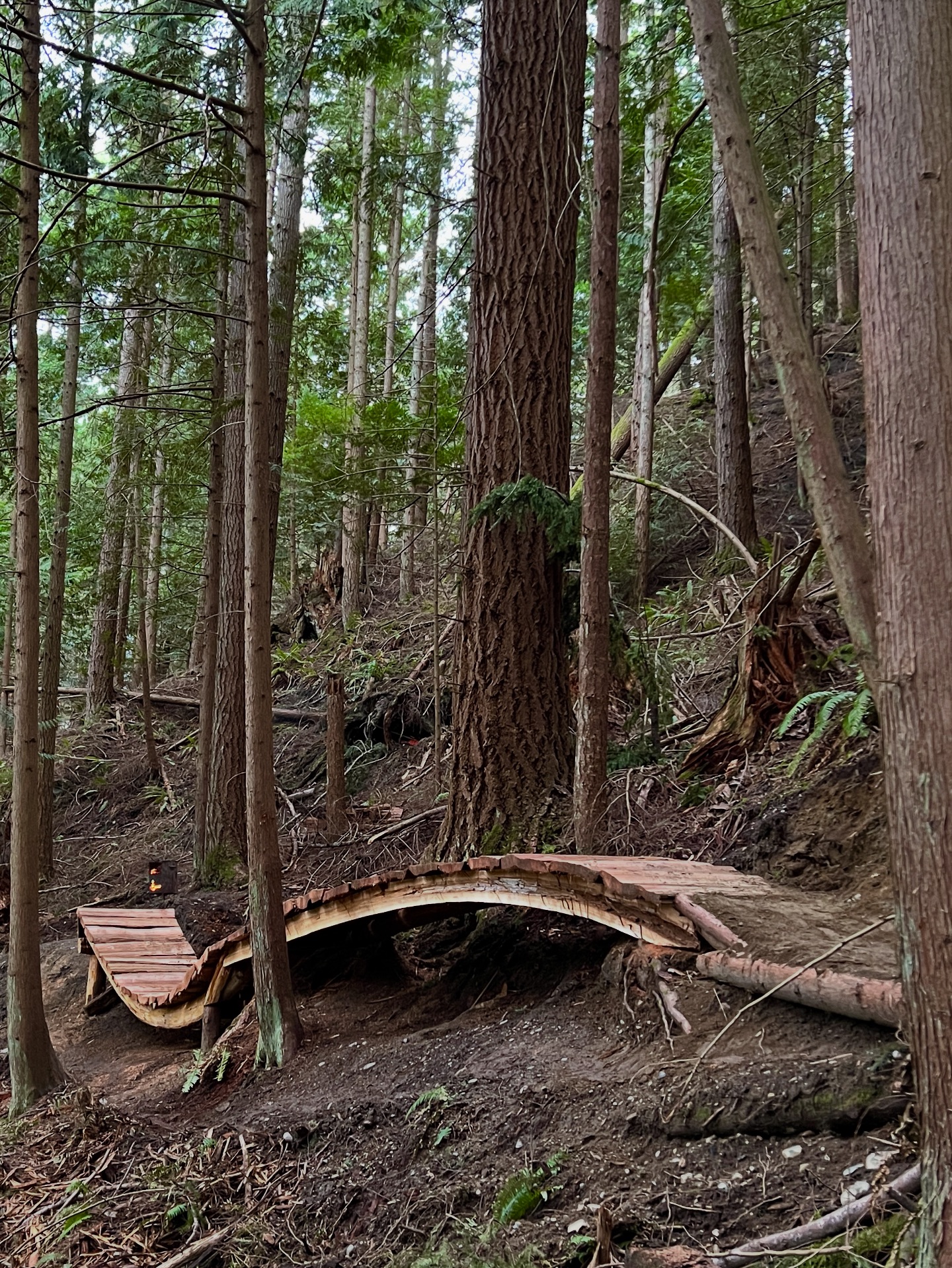 Treelines - Sometime ya got to keep it simple. One nail skinny. No ...
