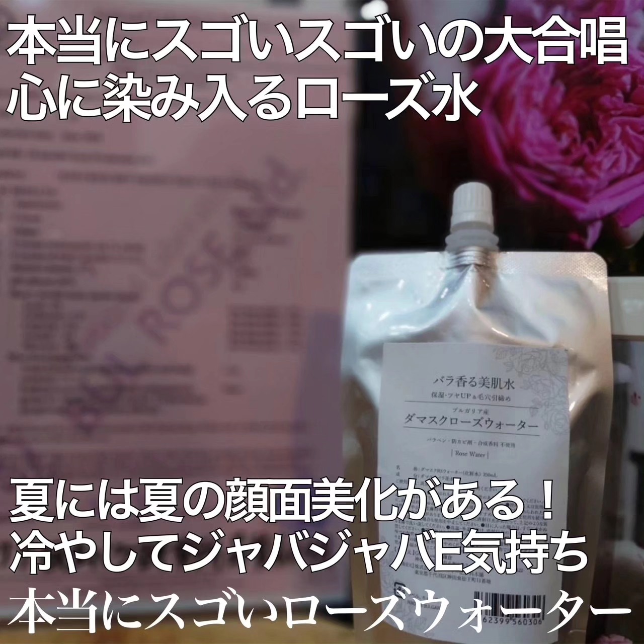 Green Lounge | Kamakura-shi Kanagawa