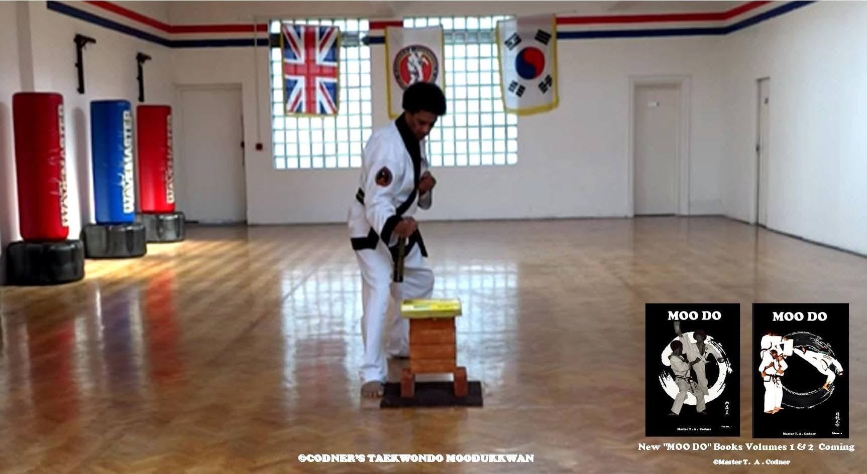 Codner's Taekwondo Moodukkwan Int | London