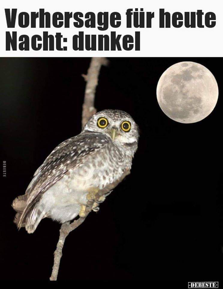 Vzbhpb Dcugd9m