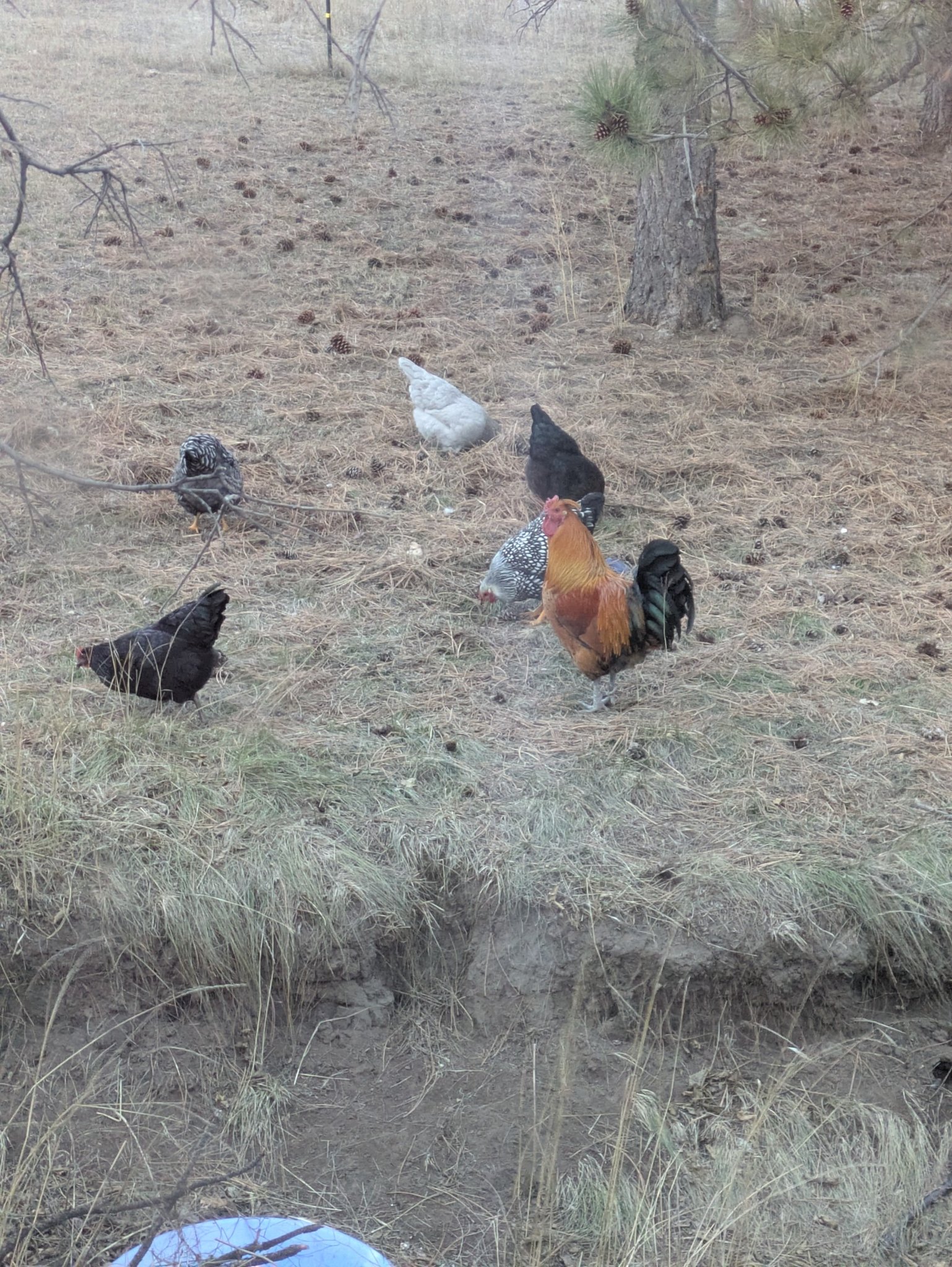 Rockin Redden Ranch | Crawford NE
