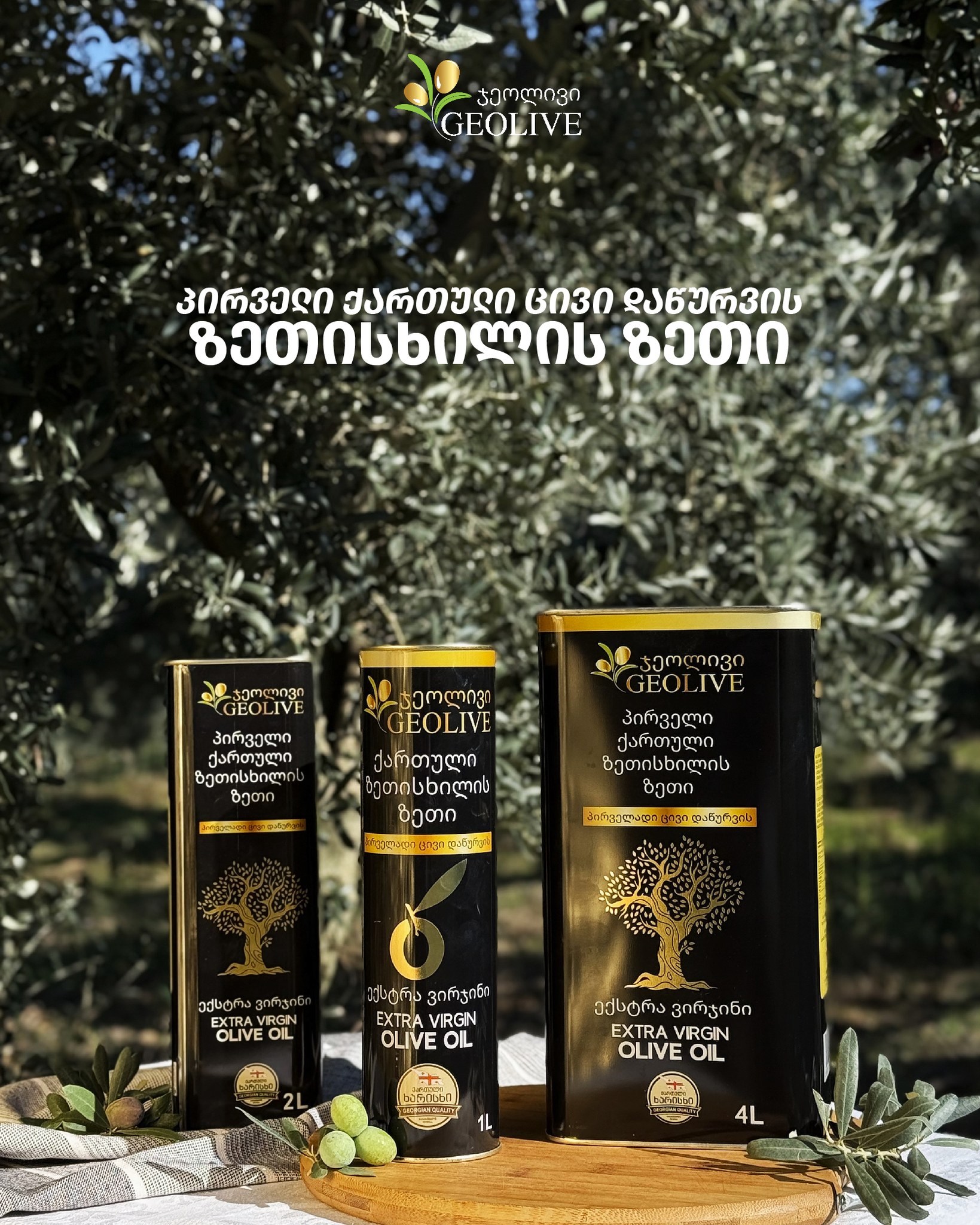 Geolive Olive Oil / ჯეოლივის ზეთისხილის ზეთი / ქართული ზეთისხილი | Tbilisi