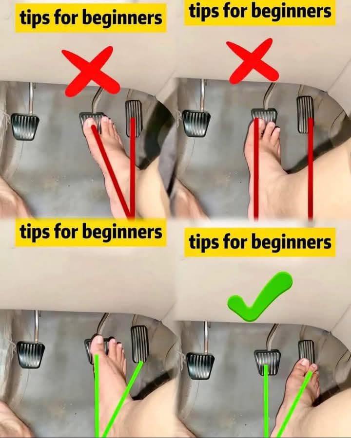 wohnwagen markise kederschiene Sonnensegel mit Keder 3 x 2,5 m, Wohnwagen mit Stangen, 3000mm+ Wasserdicht & Design Popolini:Sand-Melange Denver Günstige Campingplätze Grömitz -