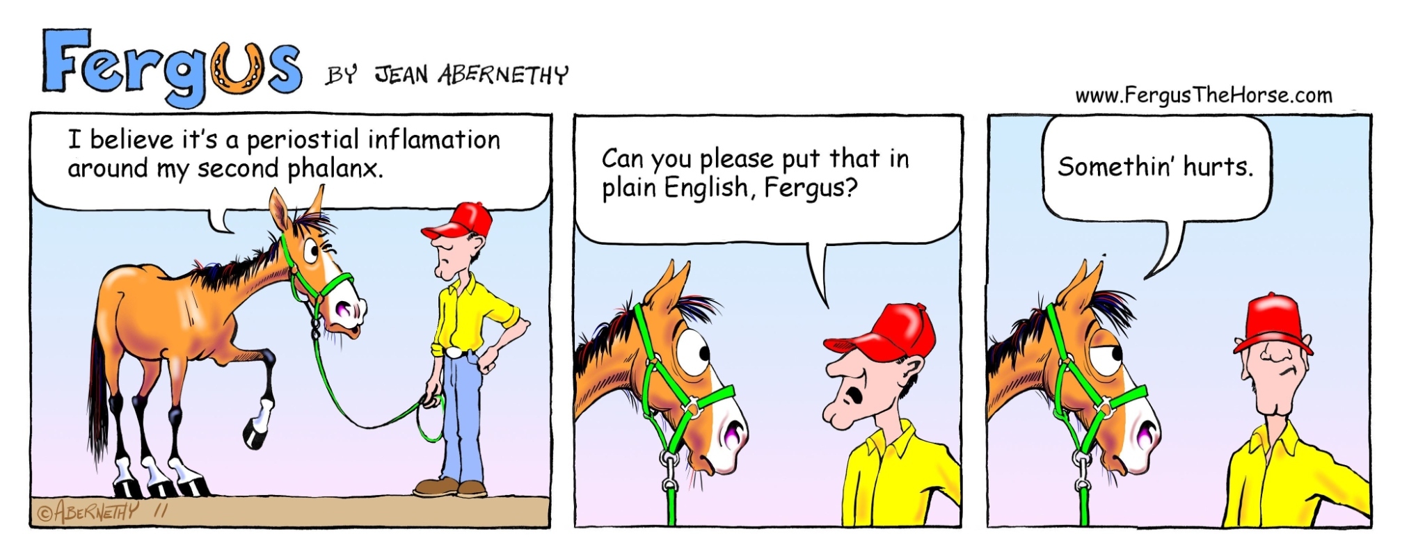 Horse Jokes & Equine Info... - Horse Jokes & Equine Info