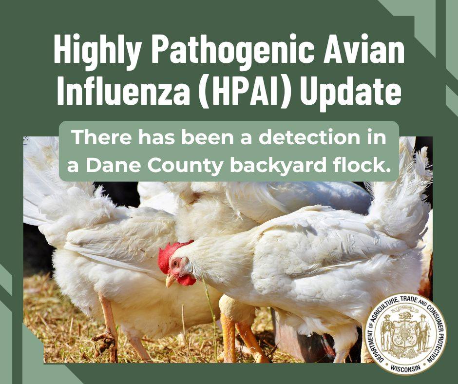 DATCP has identified a case of highly pathogenic avian influenza (HPAI ...