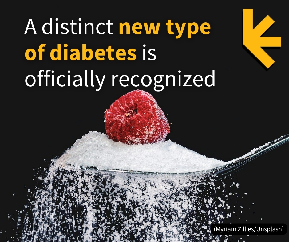 ScienceAlert - Type 5 diabetes is rarely discussed or researched, and ...
