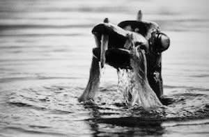 Cryptozoology - The Lake George Monster is quite the famous hoax. It ...
