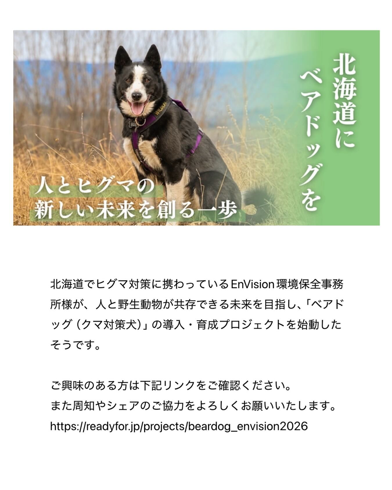 ご協力、ご支援をお願いいたします】 北海道でヒグマ対策に携わって 