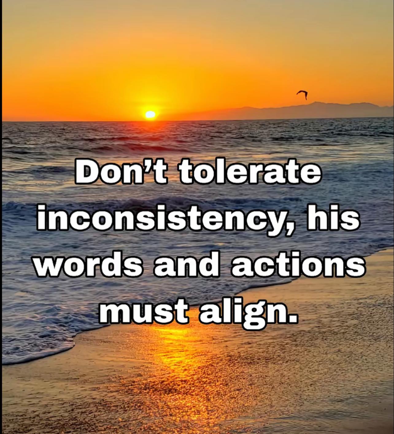 TT - TT added a new photo.