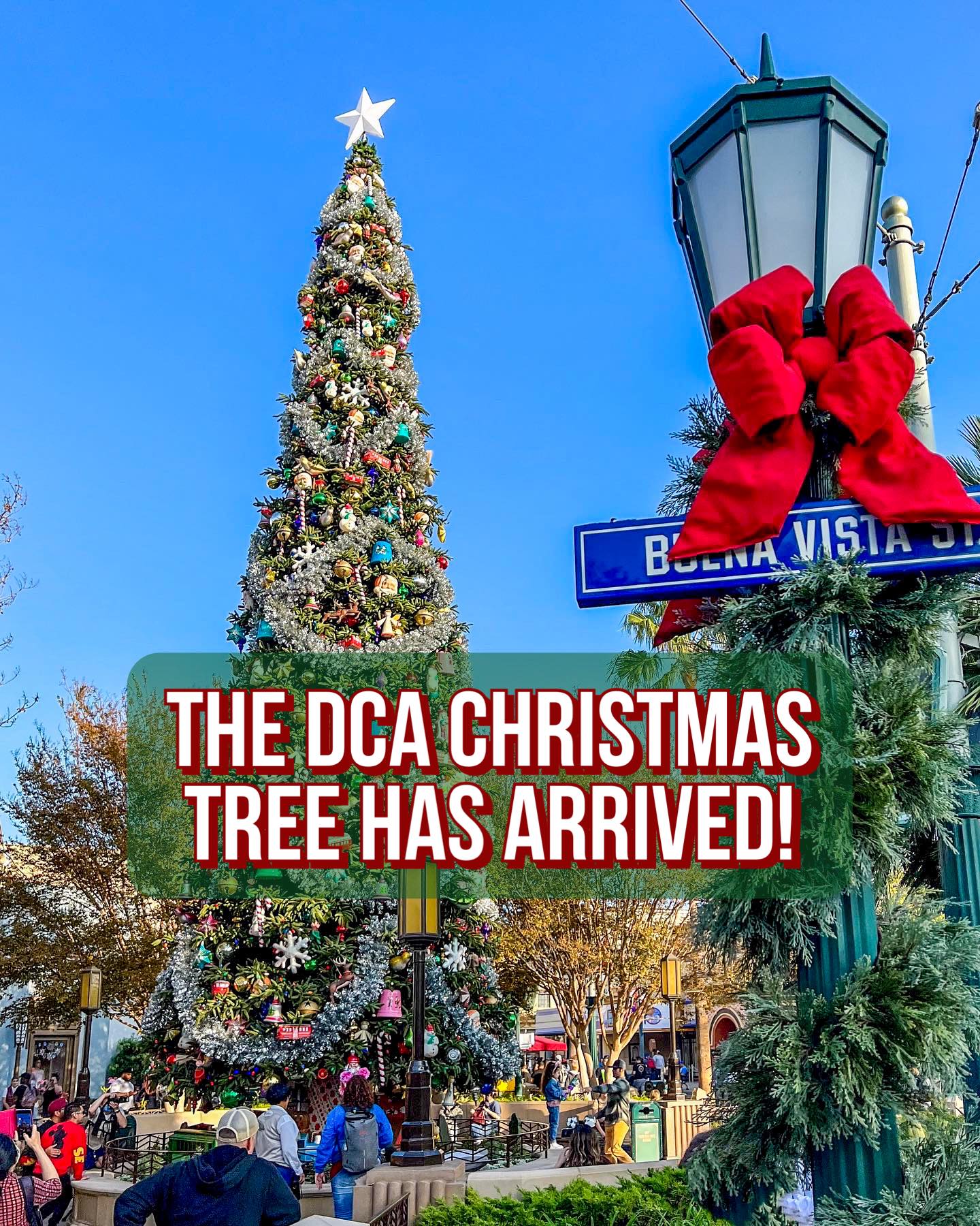 Food - The Christmas Tree is up in Disney California Adventure park! 🎄 ...