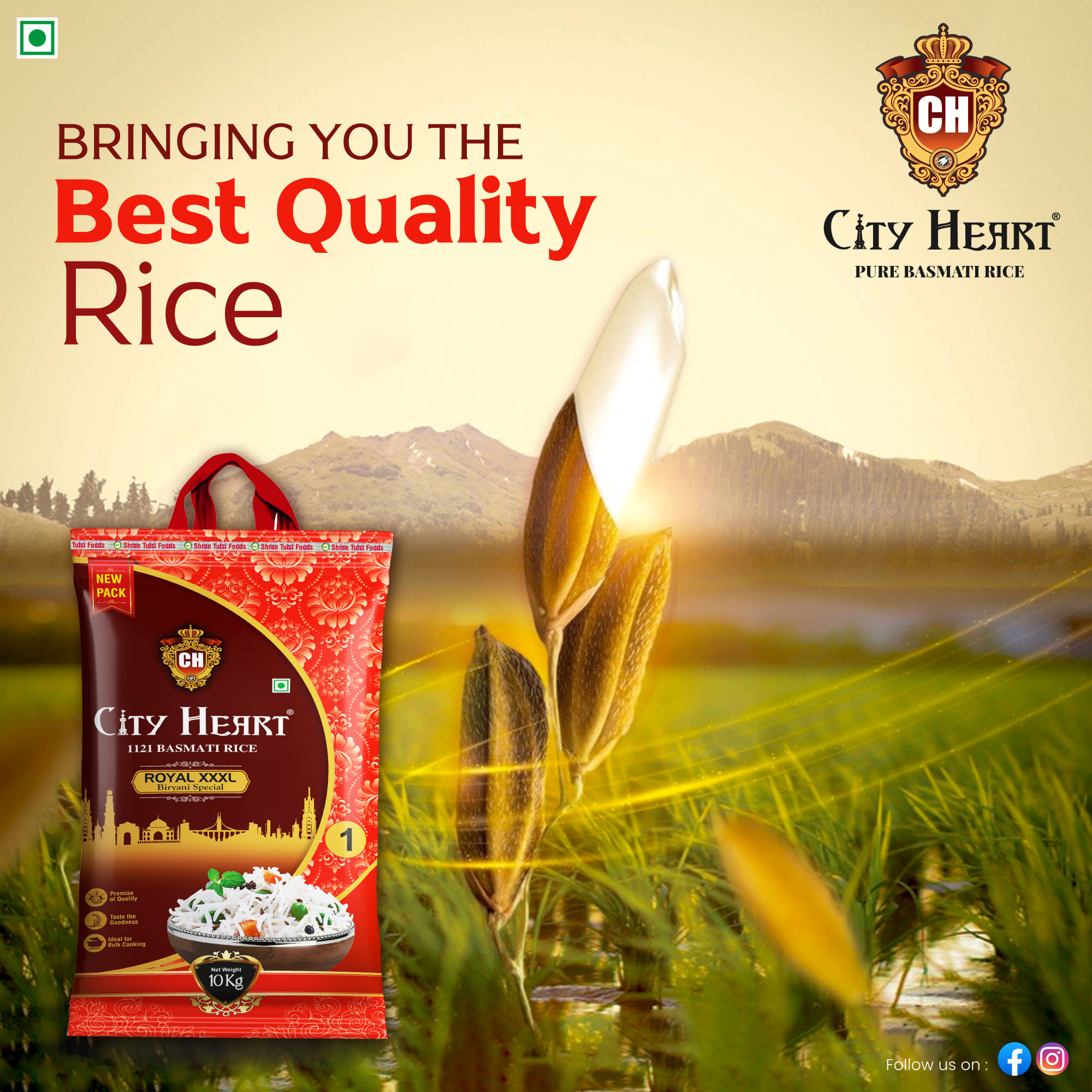 City - Delight in the simplicity of a well-cooked bowl of rice. Our top ...