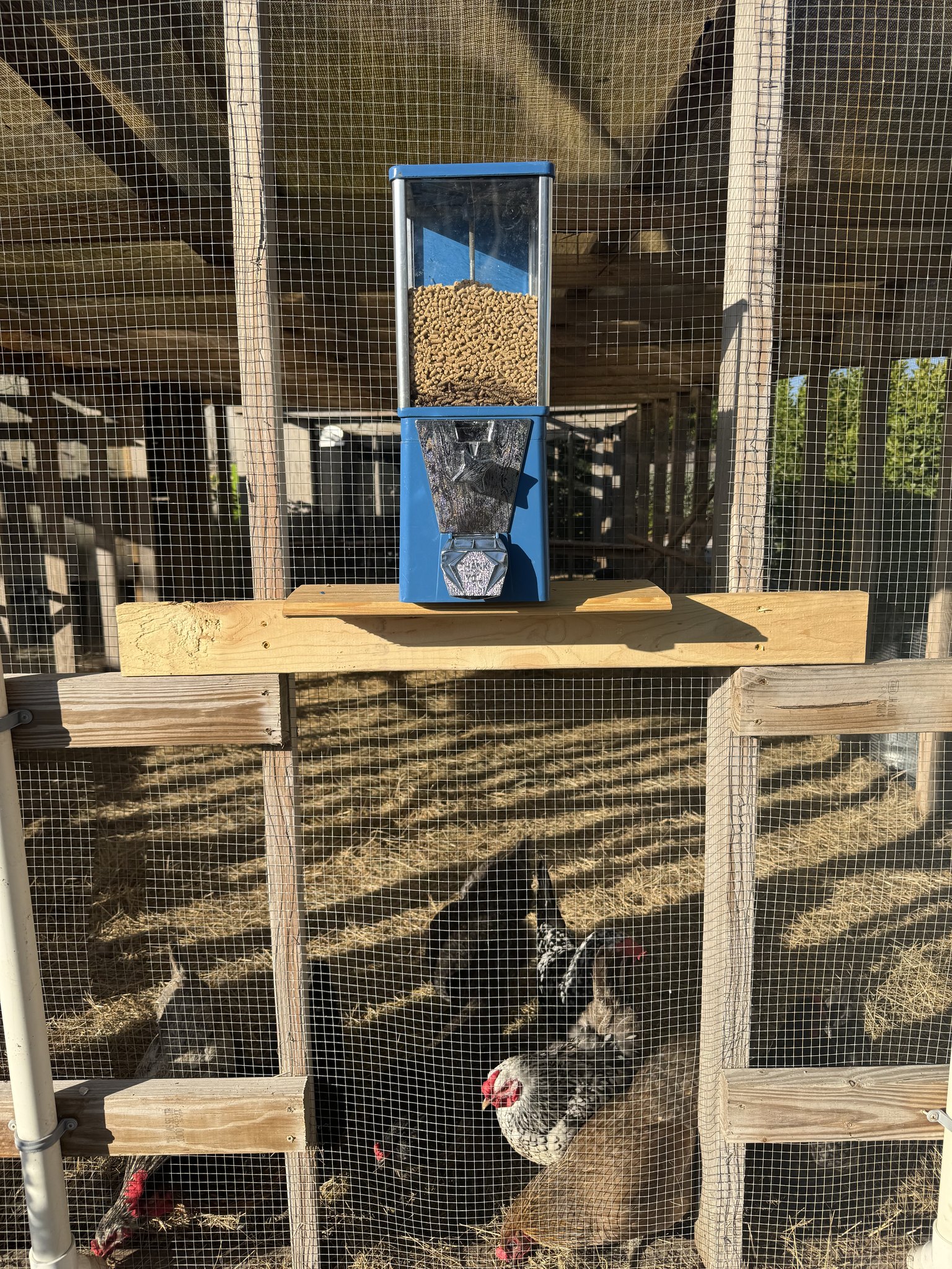 Trianu 2 Pcs Goat Feeder, Hanging Chicken Feeder, Fence Feed Trough Deer Sheep Duck Poultry Feeding Container Waterer Bucket Clips Livestock Black