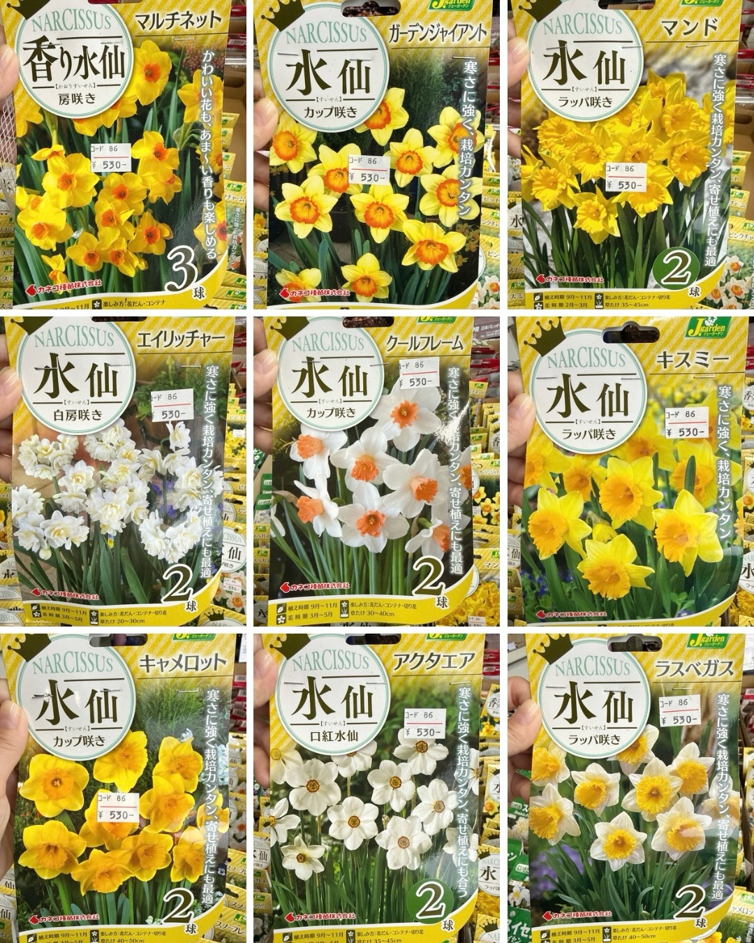 花木センター トキワ園芸農業協同組合 (@tokiwaengei) • Facebook