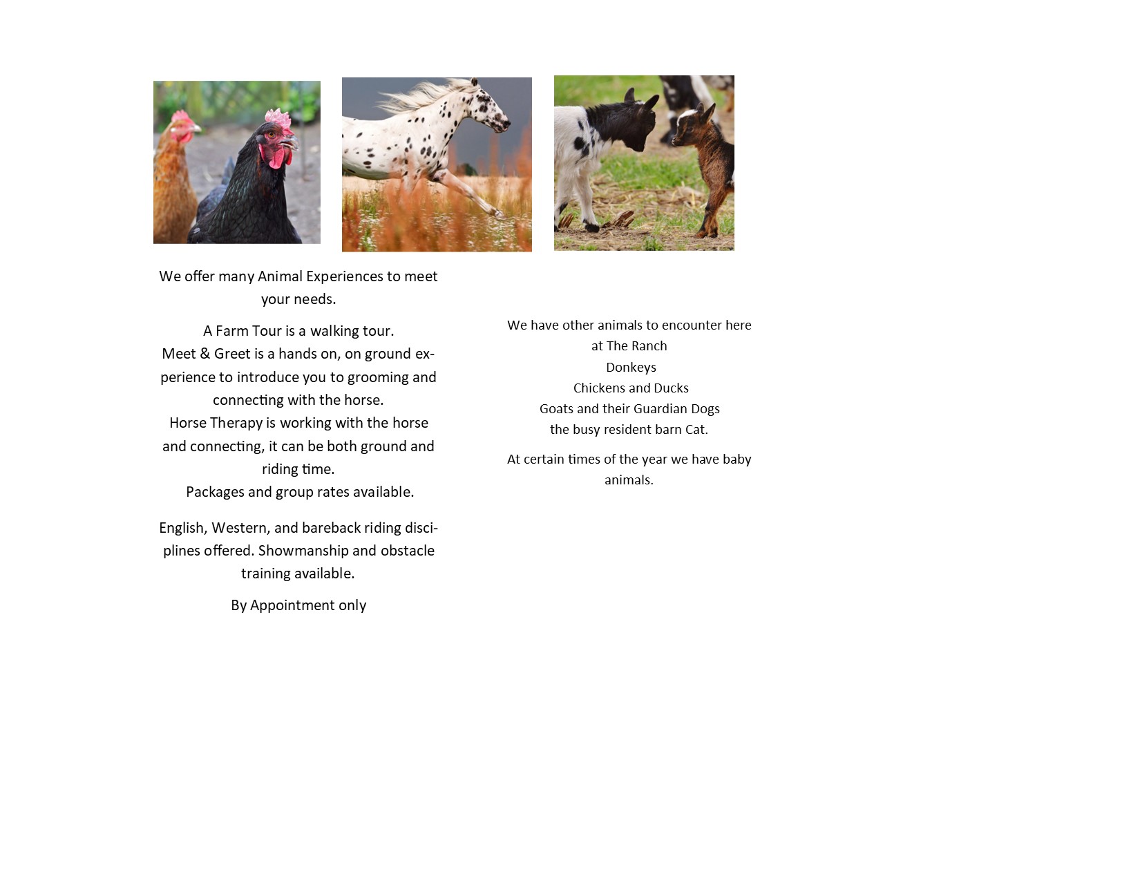 Winning Spirit Ranch Tamassee, SC | Tamassee SC