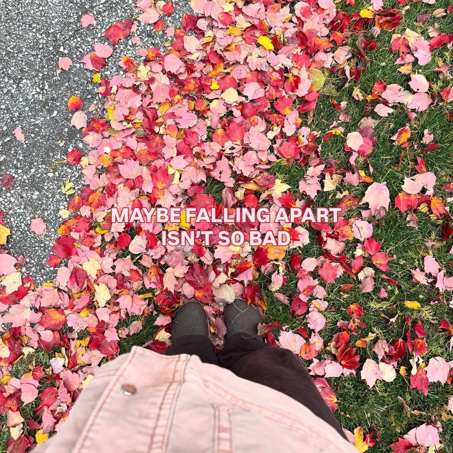 Hollyn - If I were a leaf, knowing eventually I’d have to... | Facebook