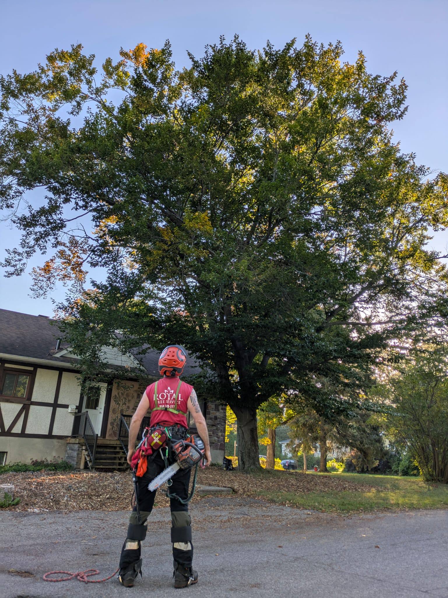 Royal Tree Service | Kirkland QC