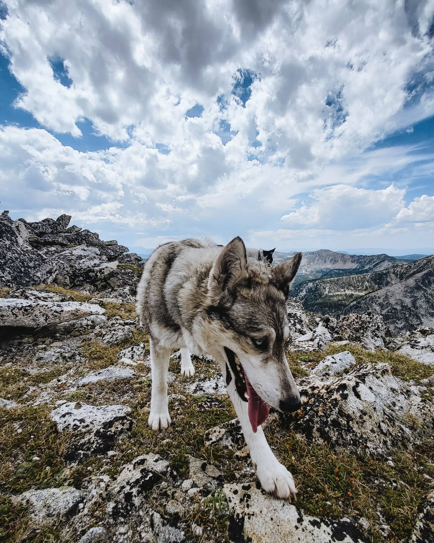 Wolf Winds - Part of my morning routine is to honor these... | Facebook