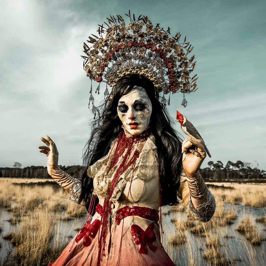 Mothmeister is an Antwerp based duo creating post mortem fairy