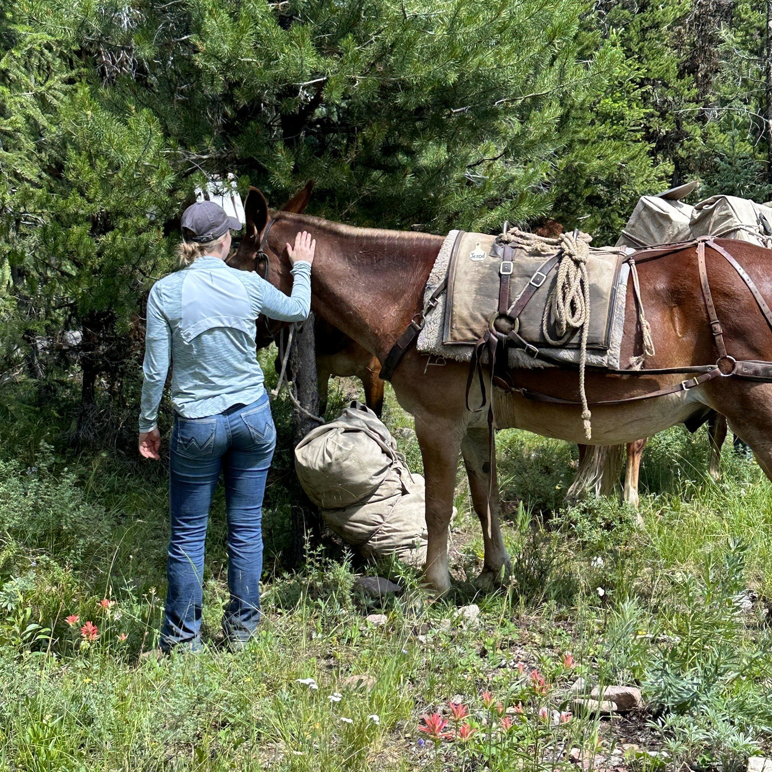 RanchWork.com - Ranch Jobs & Employment | Savannah GA