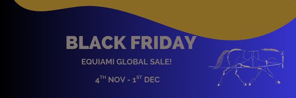 EquiAmi Global Ltd