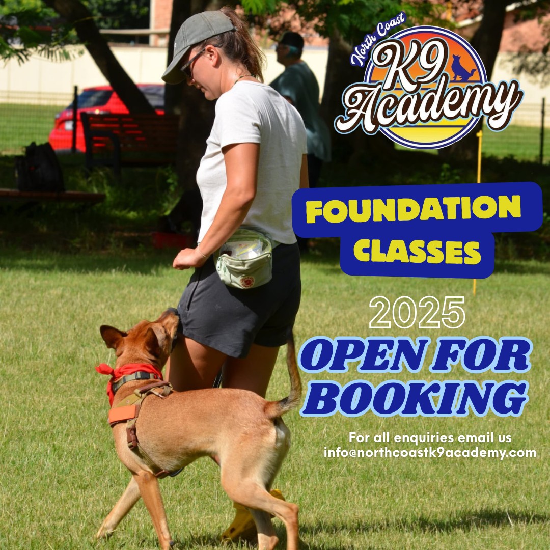 North - 🐕‍🦺 Foundations Class 2025 🐕‍🦺 💥 Foundations Class intake is ...