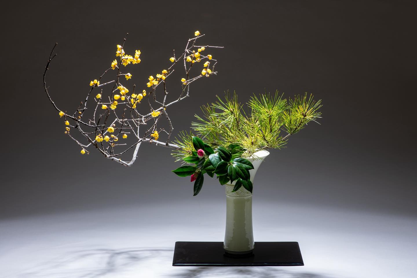 広山流（こうざんりゅう） - 5/8(土) 本部家元教室 裕之さんの作品 #花 #いけばな #華道 #広山流 #和のお稽古 #伝統文化 #花の - honda nsx type r ayrton senna