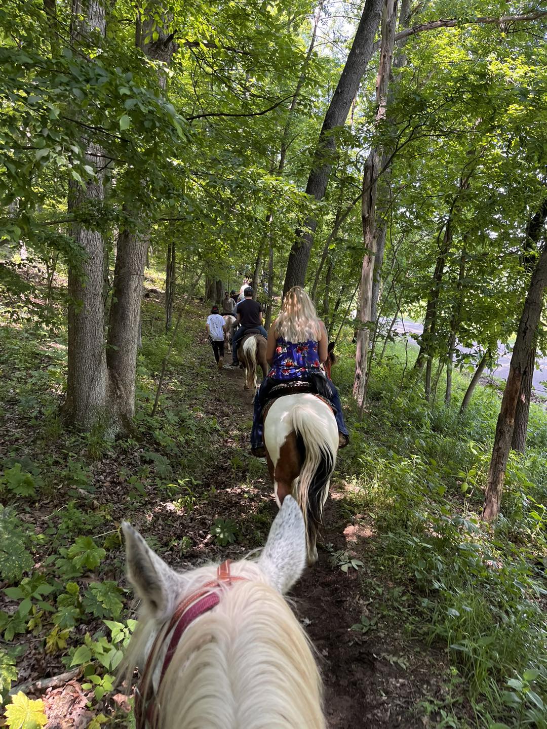 I’ve often said there is... - The Red Barn Public Trail Rides
