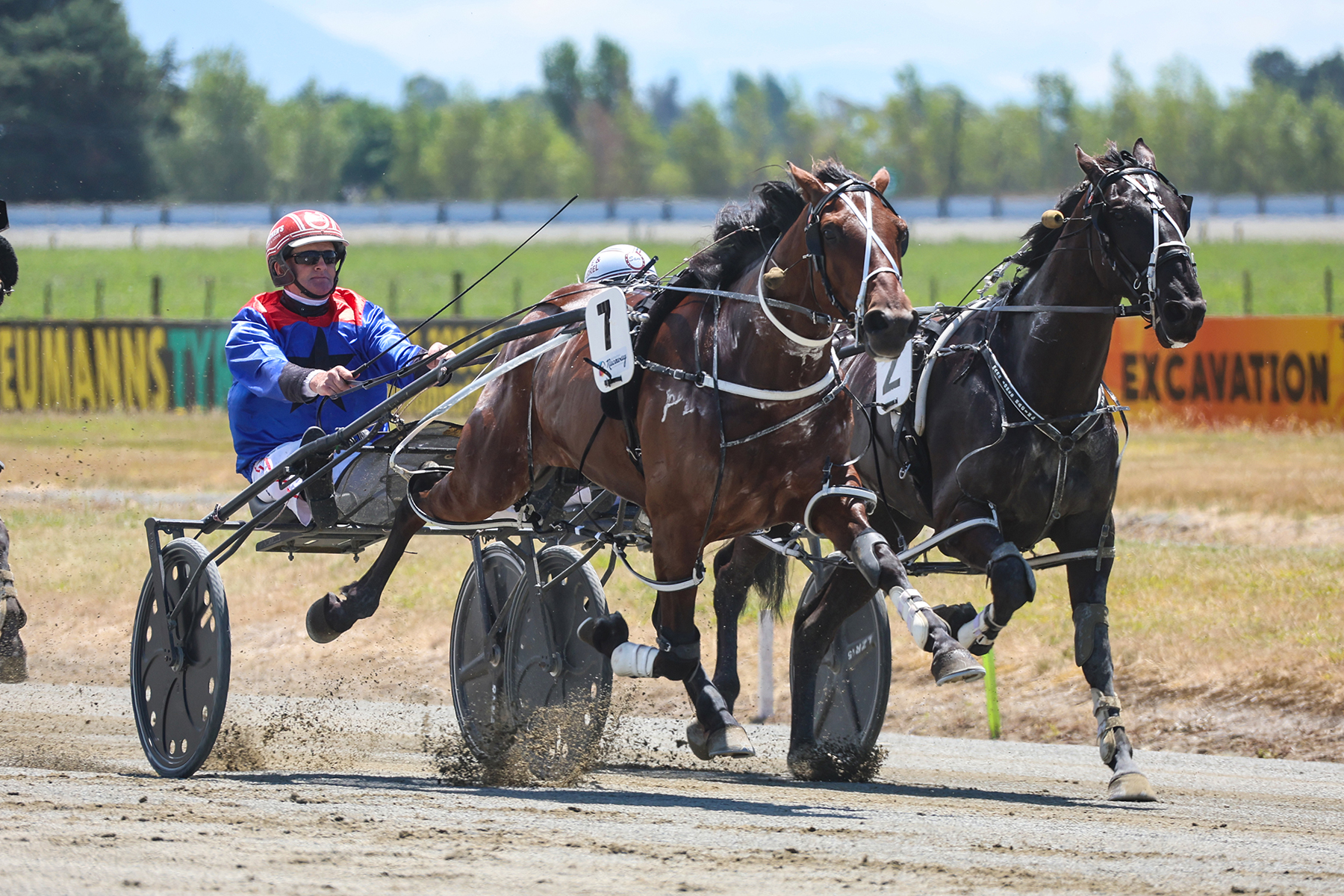 White - After a good night on Friday with Sheila Laxon winning and a ...