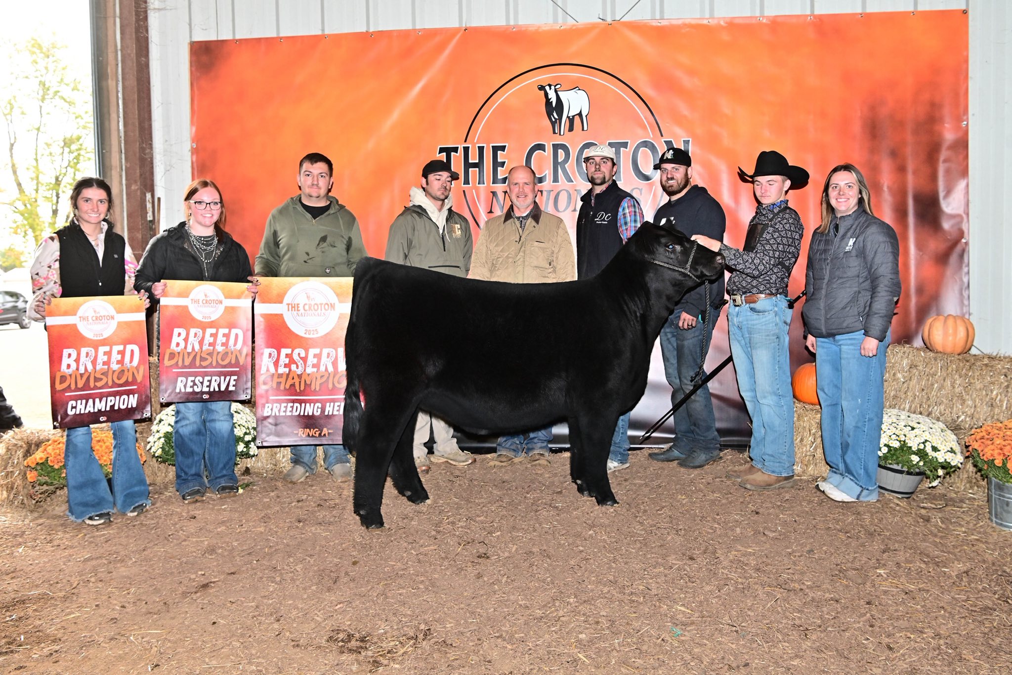 Dupler Cattle | Mount Perry OH