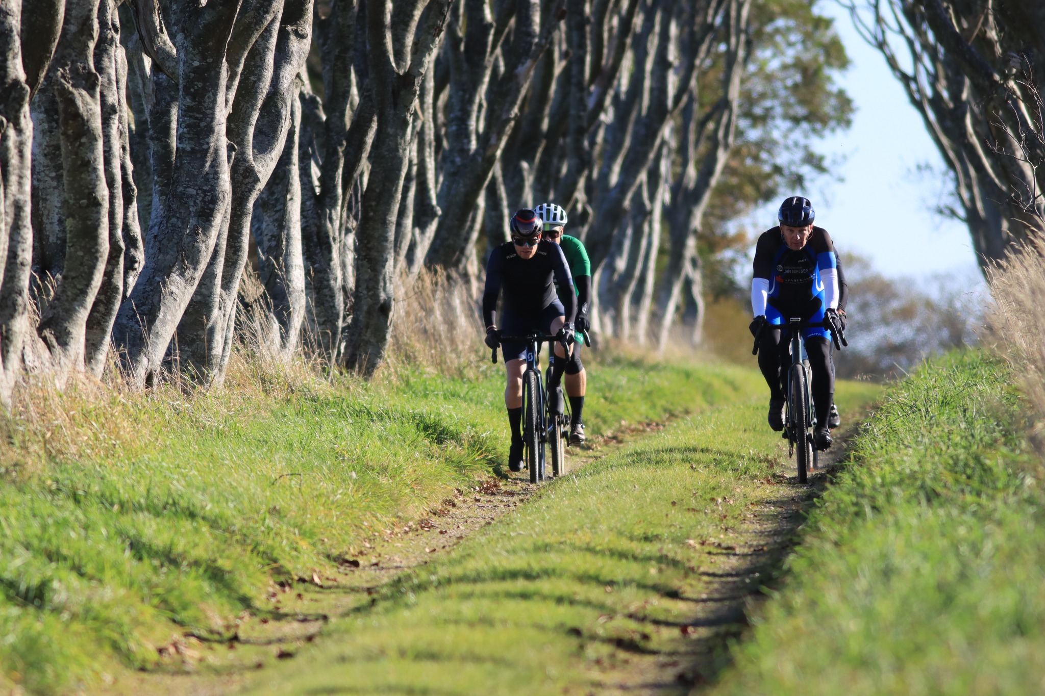 merino rennrad trikot Merino-Radtrikot mit langen Ärmeln Grün für Herren Season:4 Season - 1250g productsthatwillremainactive B O, Fahrräder &