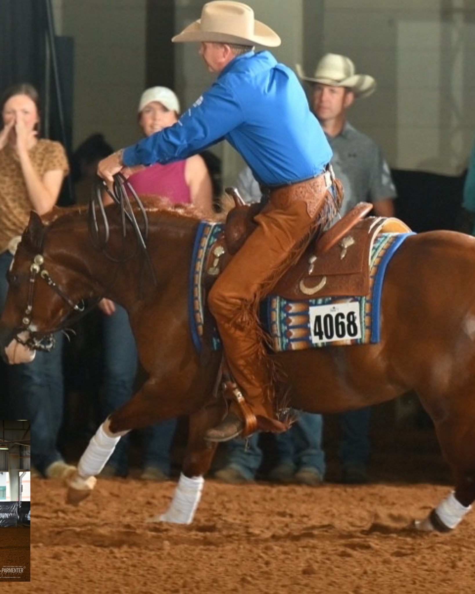 100X Shows - Welcome Staghead Ranch's MAGNUM WITH A DREAM to the 100X ...